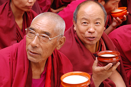 Тибетский гриб укрепляет здоровье благодаря полезным свойствам