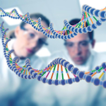 Наличие четверных ДНК открывает новые возможности для лечения рака